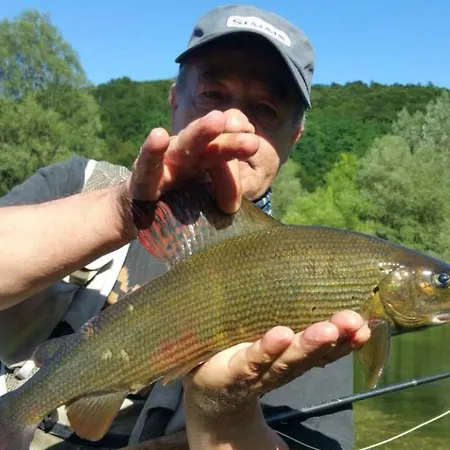 Bungalow Fly Fishing Sanica * Zolaci